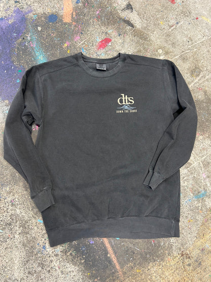 THE WEEKEND FORECAST CREWNECK - Comfort Colors