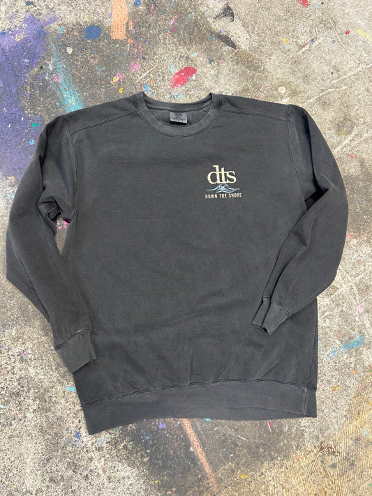 THE WEEKEND FORECAST CREWNECK