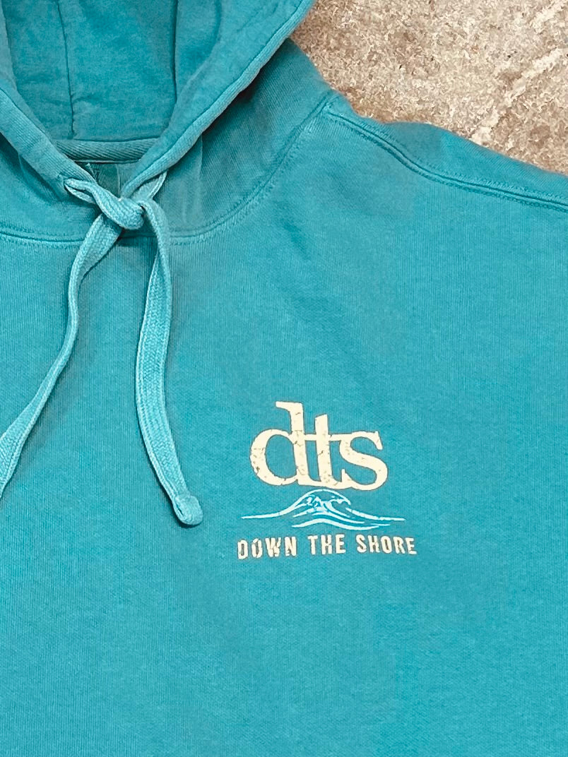 THE WEEKEND FORECAST HOODIE - Comfort Colors